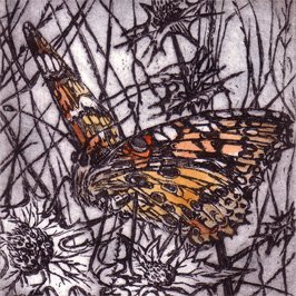 Painted Lady Butterfly